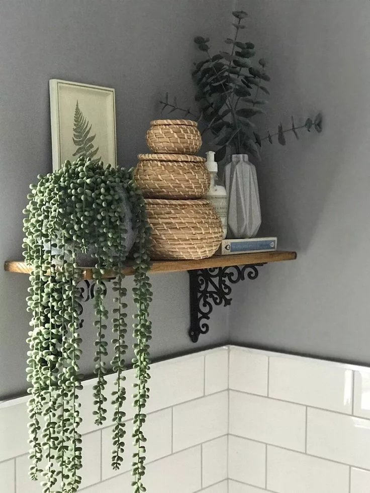Potted plant as natural element in bathroom