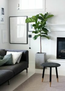 Green plants and wall artwork as living room decor ideas