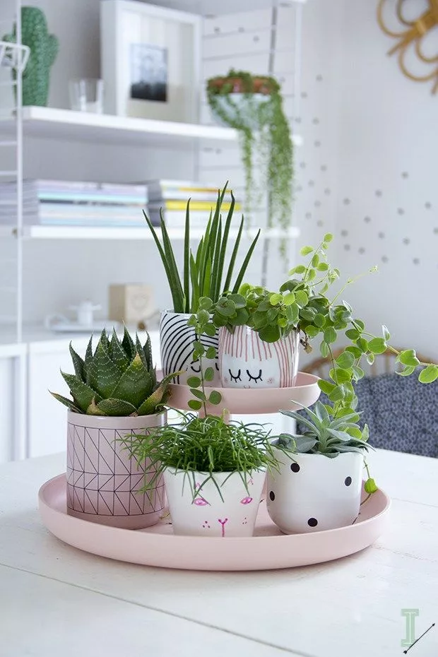 Creative pots for plants