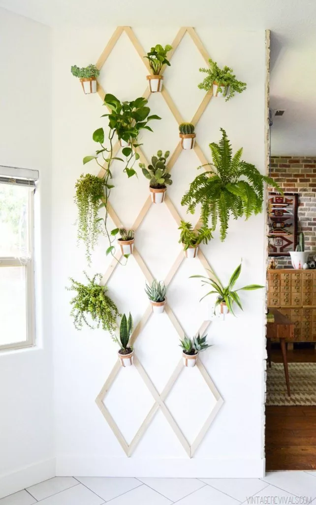 Wall-mounted potted plants