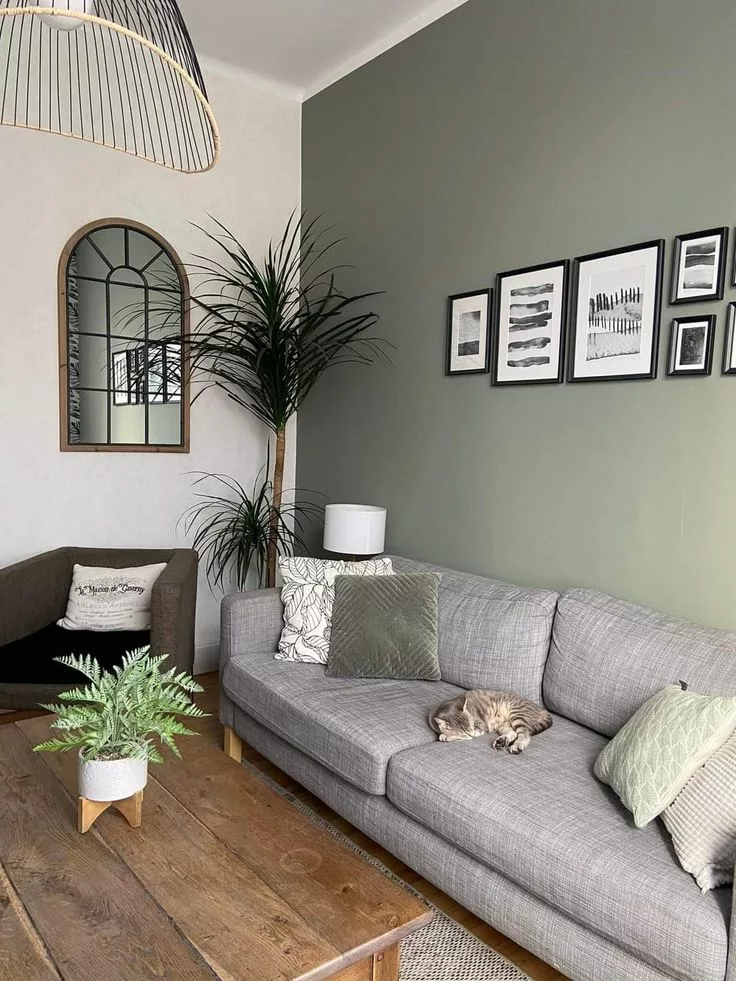 Sage green accent wall